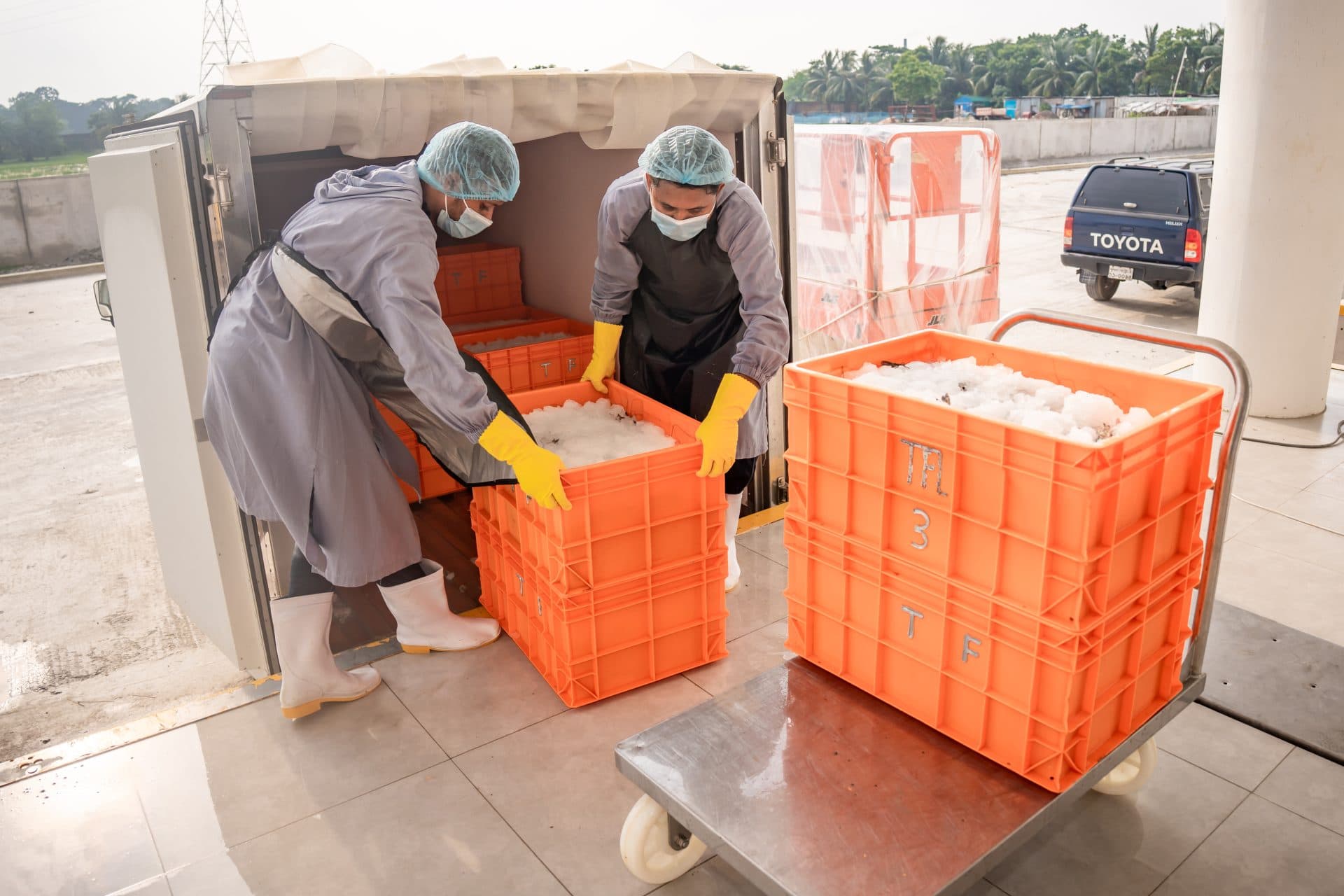 Premium seafood assortment